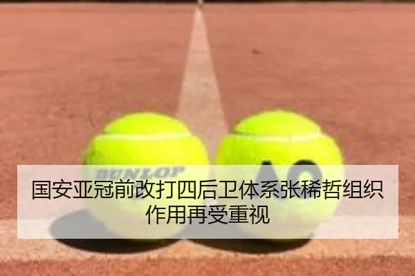 国安亚冠前改打四后卫体系张稀哲组织作用再受重视